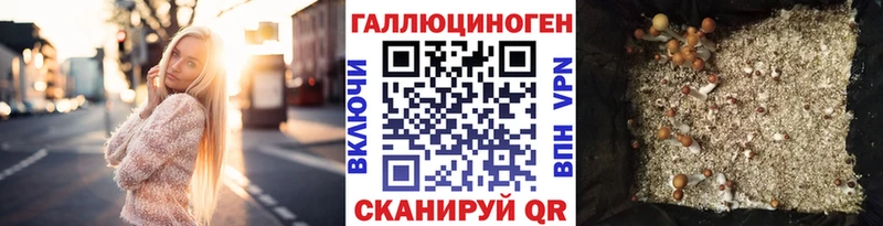 Галлюциногенные грибы Magic Shrooms  Горняк 